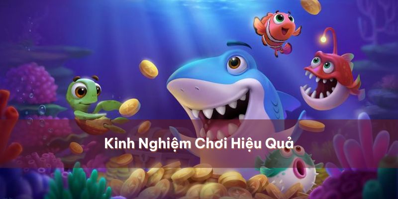 Bỏ túi ngay cẩm nang đi săn hữu hiệu rinh tiền triệu