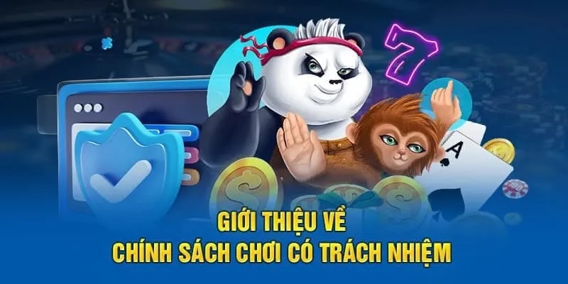 Quyền lợi khi tham gia có trách nhiệm