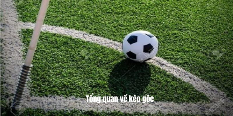 Tổng quan về kèo góc