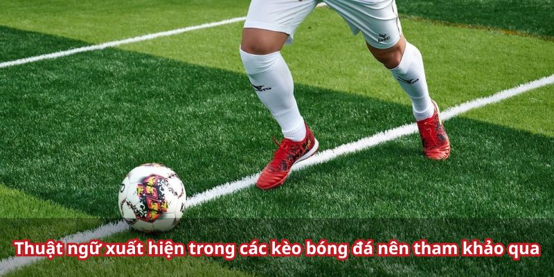 Liệt kê một số thuật ngữ về kèo cược cho hội viên 23WIN